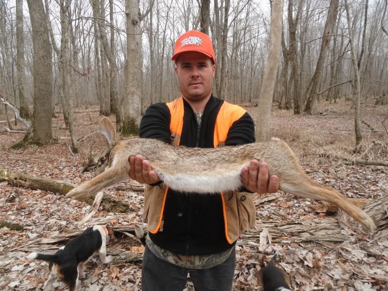 My Big Weekend in West Tennessee hunting SWAMP Rabbits GON Forum